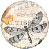 20MM animal Print glass snaps buttons