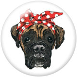 20MM  Dog  Print glass snaps buttons