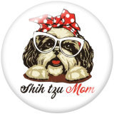 20MM  Dog  Print glass snaps buttons