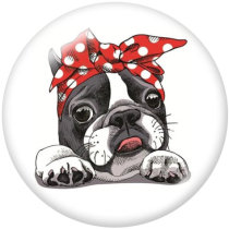 20MM  Dog  Print glass snaps buttons