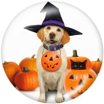 20MM  Halloween  Print glass snaps buttons