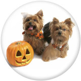 20MM  Halloween  Print glass snaps buttons
