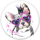 20MM  Dog  Print glass snaps buttons