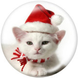 20MM  Christmas  Print glass snaps buttons