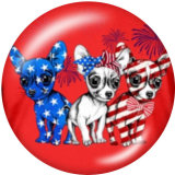 20MM  USA Eagle  Flag Print glass snaps buttons Independence Day