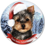 20MM  Christmas  Print glass snaps buttons