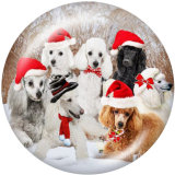 20MM  Christmas  Print glass snaps buttons