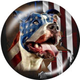 20MM  USA Eagle  Flag Print glass snaps buttons Independence Day