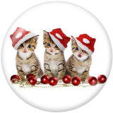 20MM  Christmas  Print glass snaps buttons