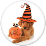 20MM  Halloween  Print glass snaps buttons
