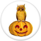 20MM  Halloween  Print glass snaps buttons