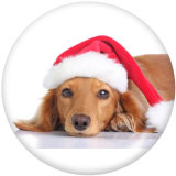 20MM  Christmas  Print glass snaps buttons
