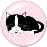 20MM cat Print glass snaps buttons