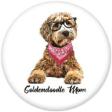 20MM  Dog  Print glass snaps buttons
