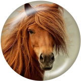 20MM horse   Print glass snaps buttons