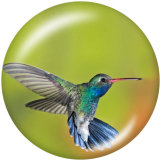 20MM  bird  Print glass snaps buttons