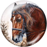 20MM horse   Print glass snaps buttons