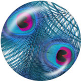 20MM  Peacock feather   Print glass snaps buttons