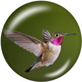 20MM  bird  Print glass snaps buttons