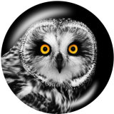 20MM  Owl  Flamingo  Print  glass snaps buttons