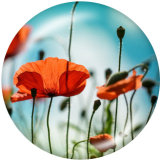 20MM  Flower  Print glass snaps buttons