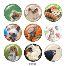 20MM  Owl  rabbit  Print  glass snaps buttons