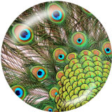 20MM  Peacock feather   Print glass snaps buttons
