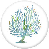 20MM Shell   Print  glass snaps buttons Beach Ocean