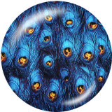 20MM  Peacock feather   Print glass snaps buttons