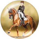 20MM horse   Print glass snaps buttons