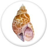 20MM Shell   Print  glass snaps buttons Beach Ocean