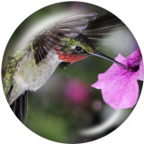 20MM  bird  Print glass snaps buttons
