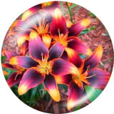 20MM Flower  Butterfly  Print glass snaps buttons