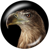 20MM  Owl  Flamingo  Print  glass snaps buttons