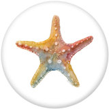 20MM Shell   Print  glass snaps buttons Beach Ocean
