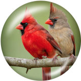 20MM  bird  Print glass snaps buttons