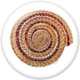 20MM Shell   Print  glass snaps buttons Beach Ocean