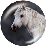 20MM horse   Print glass snaps buttons