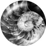 20MM  Pattern  Print  glass snaps buttons Beach Ocean