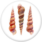 20MM Shell   Print  glass snaps buttons Beach Ocean