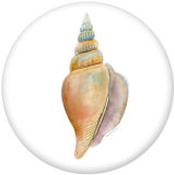 20MM Shell   Print  glass snaps buttons Beach Ocean