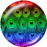 20MM  Peacock feather   Print glass snaps buttons