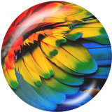20MM Pattern Print glass snaps buttons Beach Ocean