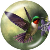 20MM  bird  Print glass snaps buttons