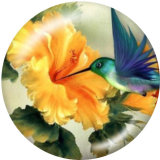 20MM Flower  Butterfly  Print glass snaps buttons