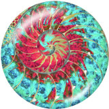 20MM  Pattern  Print  glass snaps buttons Beach Ocean