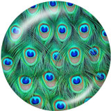 20MM  Peacock feather   Print glass snaps buttons