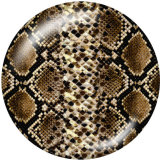 20MM Serpentine  Print glass snaps buttons
