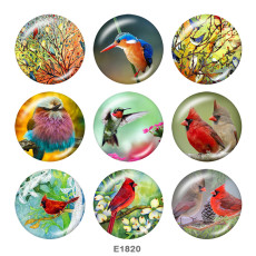 20MM  Hummingbird   Print  glass snaps buttons