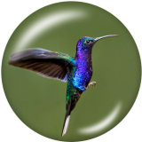 20MM  bird  Print glass snaps buttons